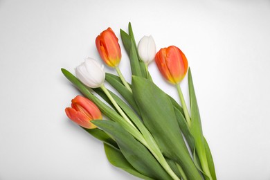 Beautiful colorful tulip flowers on white background, flat lay