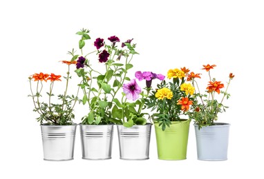 Photo of Different flowers in metal pots isolated on white