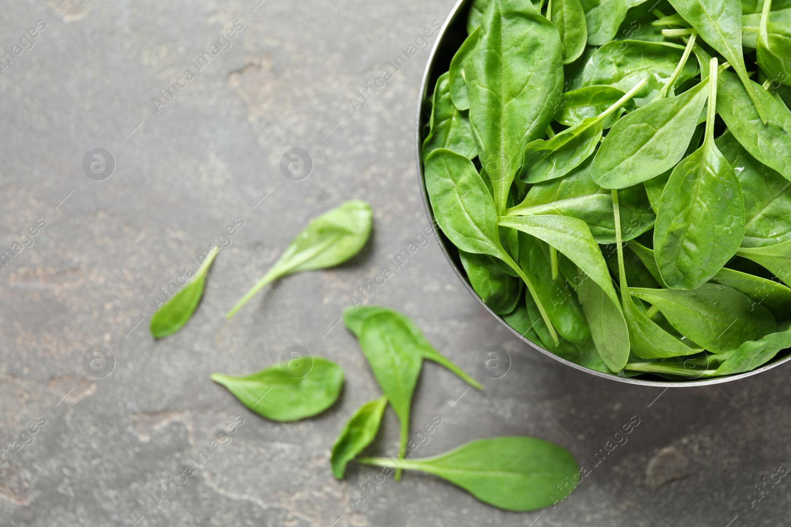 Photo of Fresh green healthy spinach on grey table, top view. Space for text