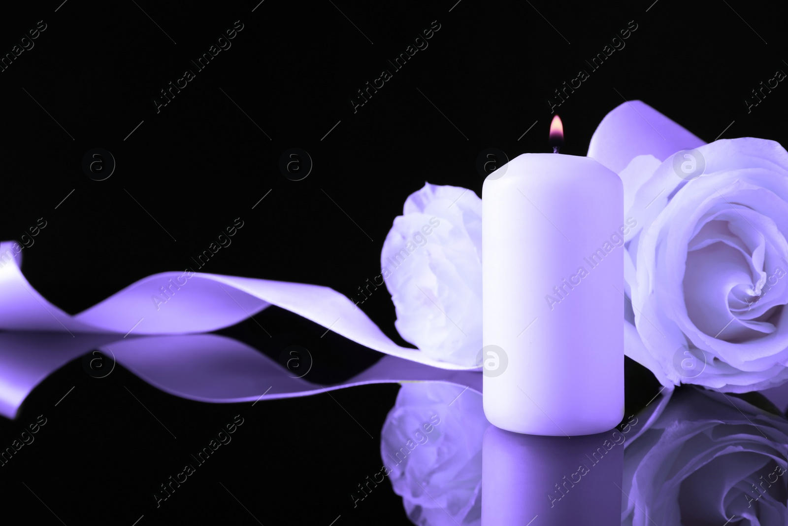 Image of Violet roses and burning candle on black mirror surface, space for text. Funeral attributes