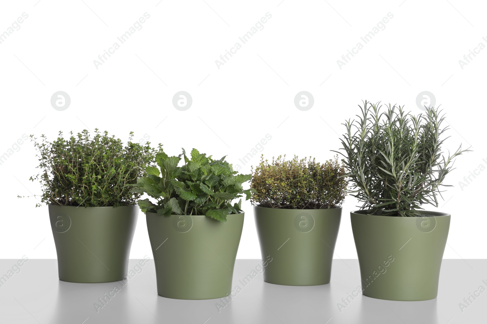 Photo of Pots with thyme, mint and rosemary on white background