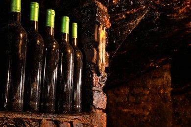 Photo of Many bottles of alcohol drinks on shelf in cellar, space for text
