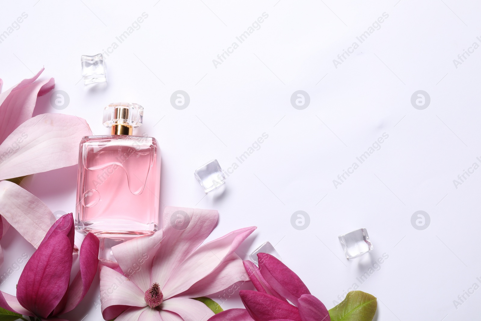 Photo of Beautiful pink magnolia flowers, bottle of perfume and ice cubes on white background, flat lay. Space for text