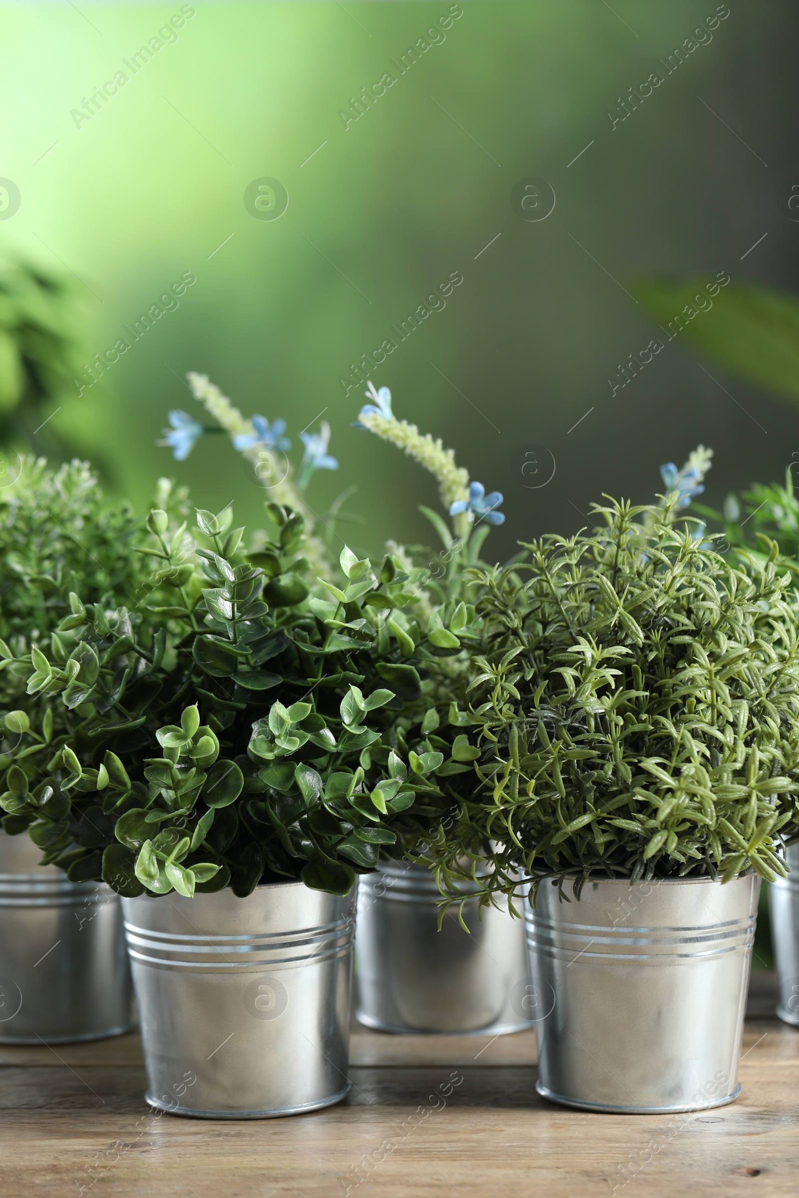Photo of Different aromatic potted herbs on wooden table outdoors