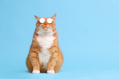 Cute ginger cat in stylish sunglasses on light blue background. Space for text