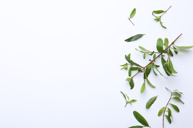 Photo of Pomegranate branches with green leaves on white background, flat lay. Space for text