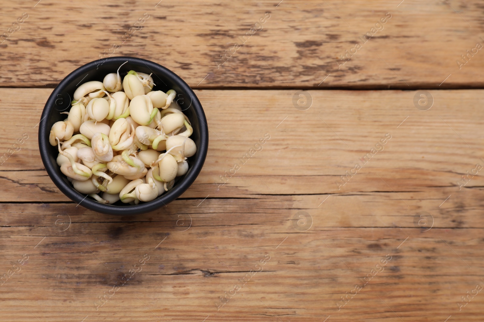 Photo of Sprouted kidney beans in bowl on wooden table, top view. Space for text