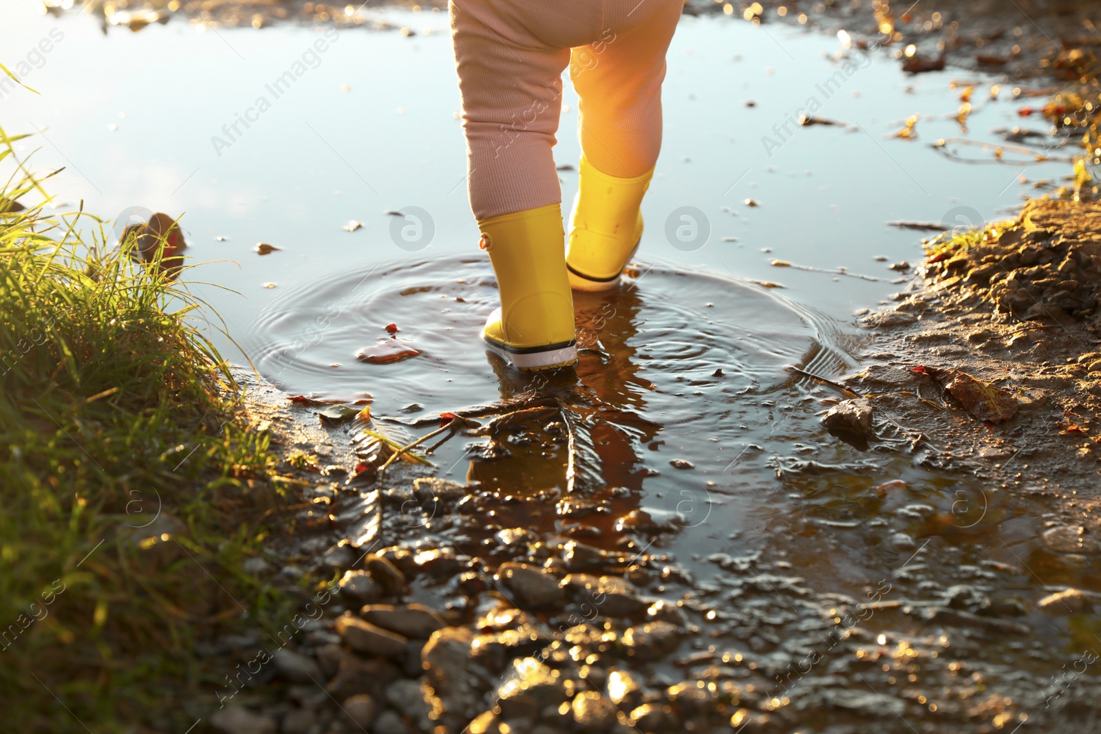 Photo of Little girl wearing rubber boots walking in puddle outdoors, closeup