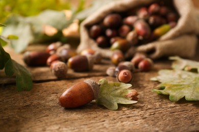 Photo of Sack with many acorns and oak leaves on wooden table, closeup