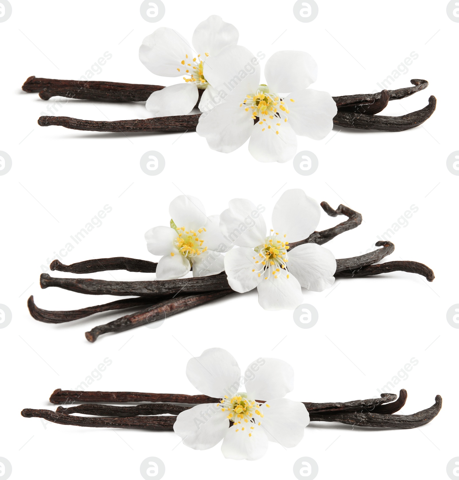 Image of Set with aromatic vanilla pods and flowers on white background