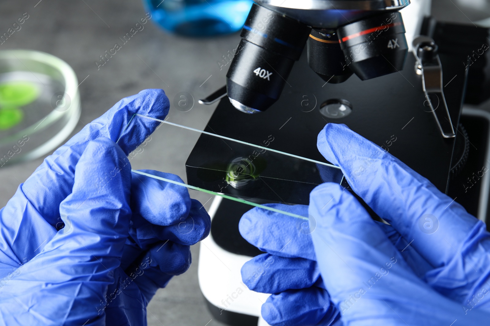 Photo of Medical assistant using microscope at table, closeup