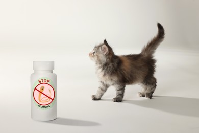 Deworming. Fluffy kitten and medical bottle with anthelmintic drugs on white background