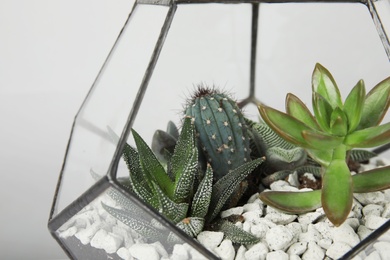 Photo of Glass florarium vase with succulents and cactus on grey background, closeup