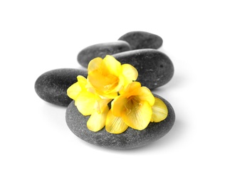 Photo of Spa stones and freesia flowers on white background