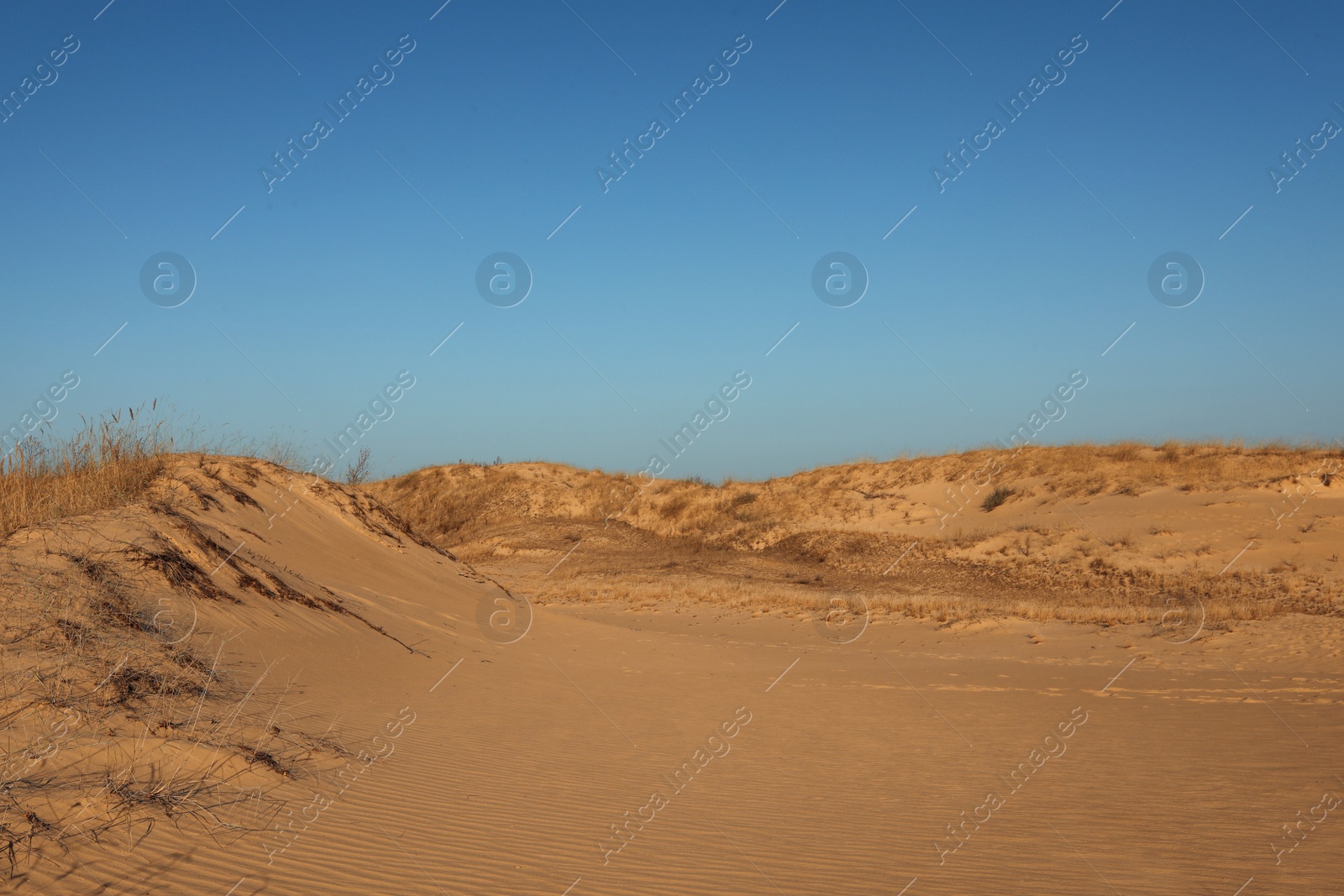 Photo of Picturesque view of desert on sunny day
