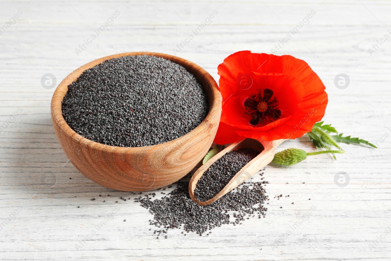 Photo of Wooden bowl of poppy seeds, scoop and flower on white table