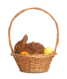 Photo of Adorable fluffy bunny in wicker basket with Easter eggs isolated on white