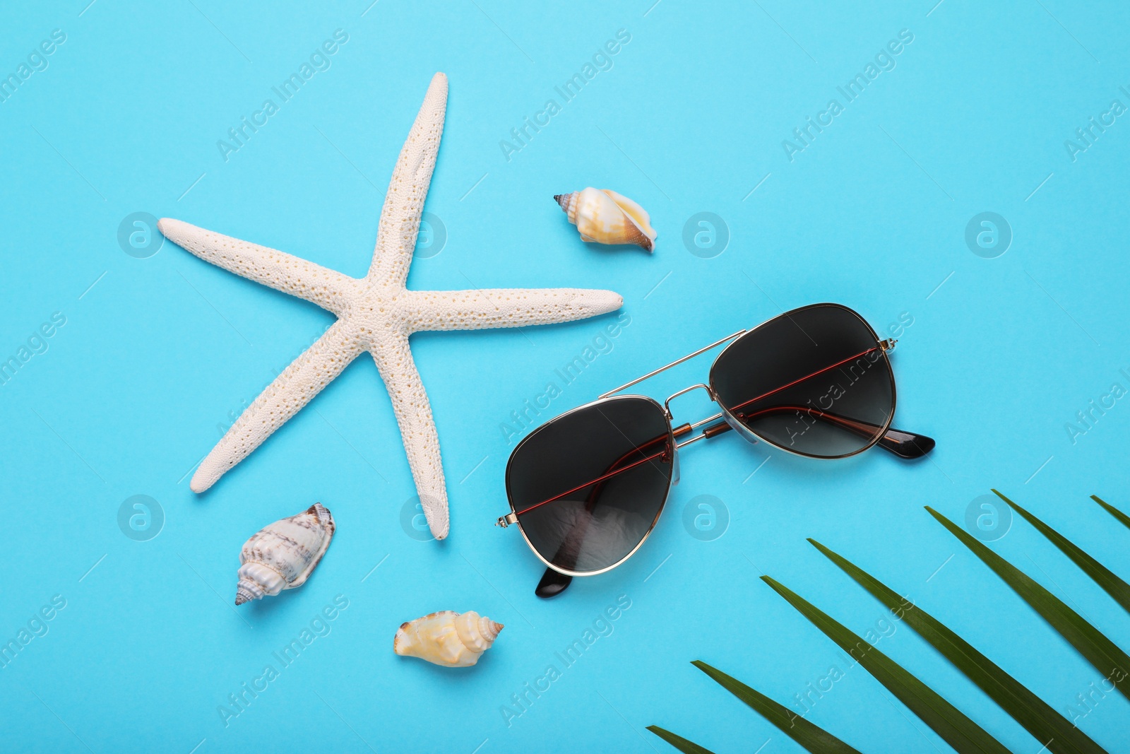 Photo of Stylish sunglasses, starfish and seashells on light blue background, flat lay