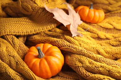 Dry leaf and small pumpkins on orange knitted plaid, closeup