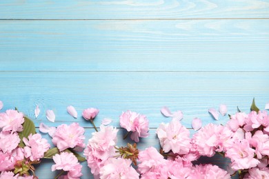 Photo of Beautiful sakura tree blossoms on turquoise wooden table, flat lay. Space for text