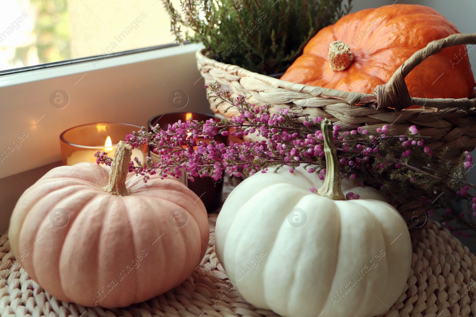 Photo of Wicker basket with beautiful heather flowers, pumpkins and burning candles near window indoors