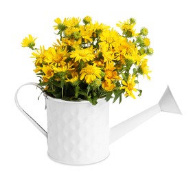 Beautiful bouquet of yellow wildflowers in watering can isolated on white