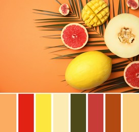 Image of Color palette and composition with fresh fruits on pale orange, flat lay