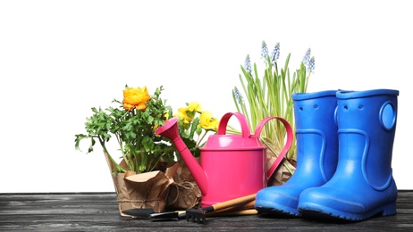 Composition with plants and gardening tools on table against white background