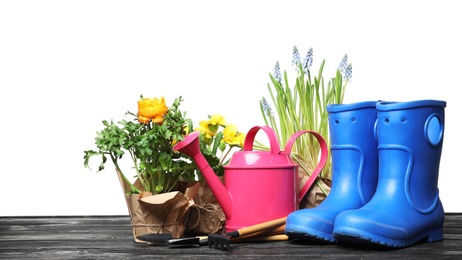 Photo of Composition with plants and gardening tools on table against white background