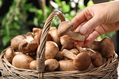 Photo of Woman putting fresh wild mushroom into basket on blurred green background, closeup