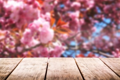 Empty wooden surface and beautiful blossoming sakura tree on background