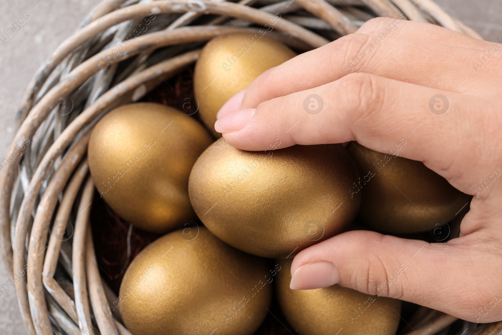 Photo of Woman taking golden egg from nest, closeup