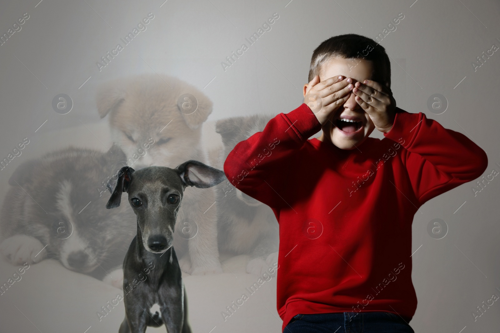 Image of Scared little boy suffering from cynophobia on beige background. Irrational fear of dogs