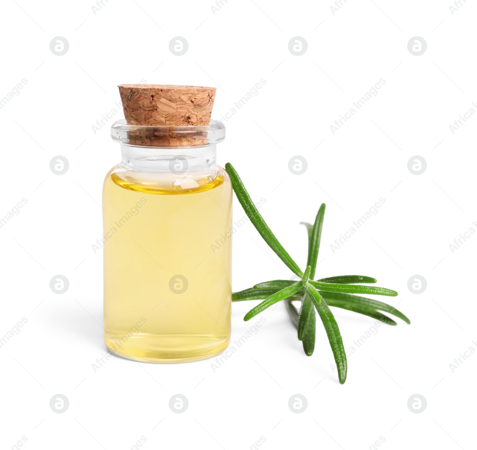 Photo of Sprig of fresh rosemary and essential oil on white background