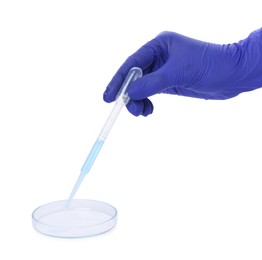Scientist dripping liquid from pipette into petri dish on white background, closeup