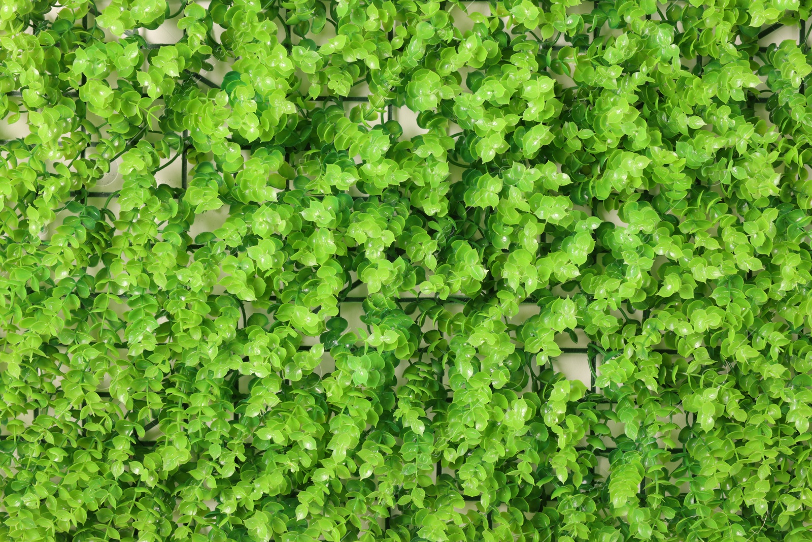 Photo of Green artificial plants as background, top view