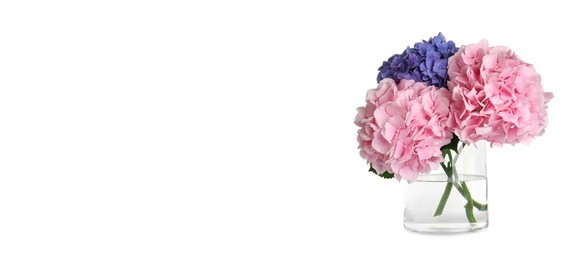 Image of Stylish vase with beautiful hydrangea flowers on white background. Banner design