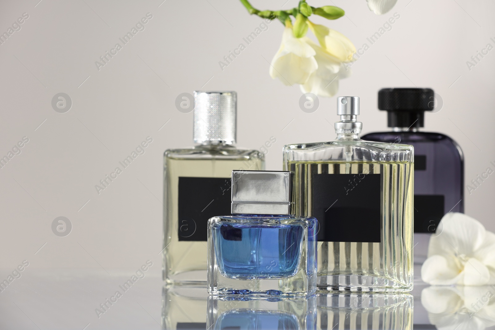Photo of Luxury perfumes and freesia flowers on mirror surface against light grey background, space for text. Floral fragrance