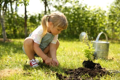 Cute little girl planting tree in garden