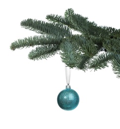 Beautiful Christmas ball hanging on fir tree branch against white background