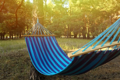 Empty comfortable blue hammock hanging in forest