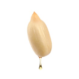 Image of Sunflower seed with oil on white background