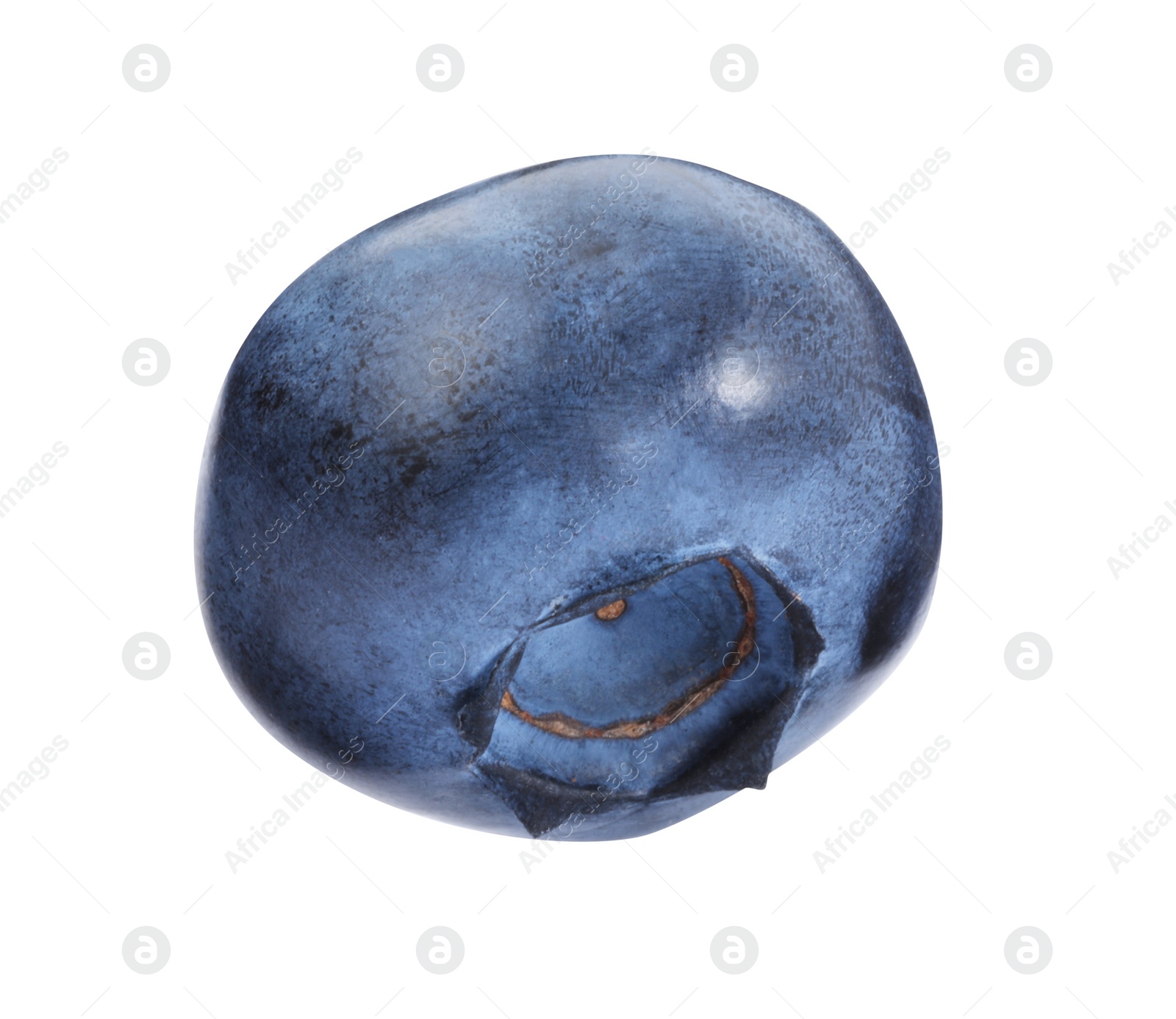 Photo of One fresh ripe blueberry isolated on white