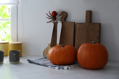 Photo of Fresh ripe pumpkins on countertop in kitchen. Halloween celebration
