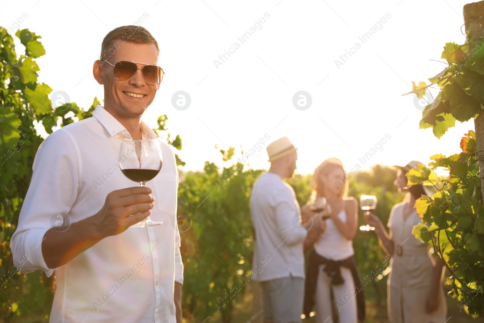 Photo of Handsome man with glass of wine and his friends in vineyard