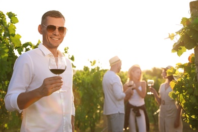 Handsome man with glass of wine and his friends in vineyard