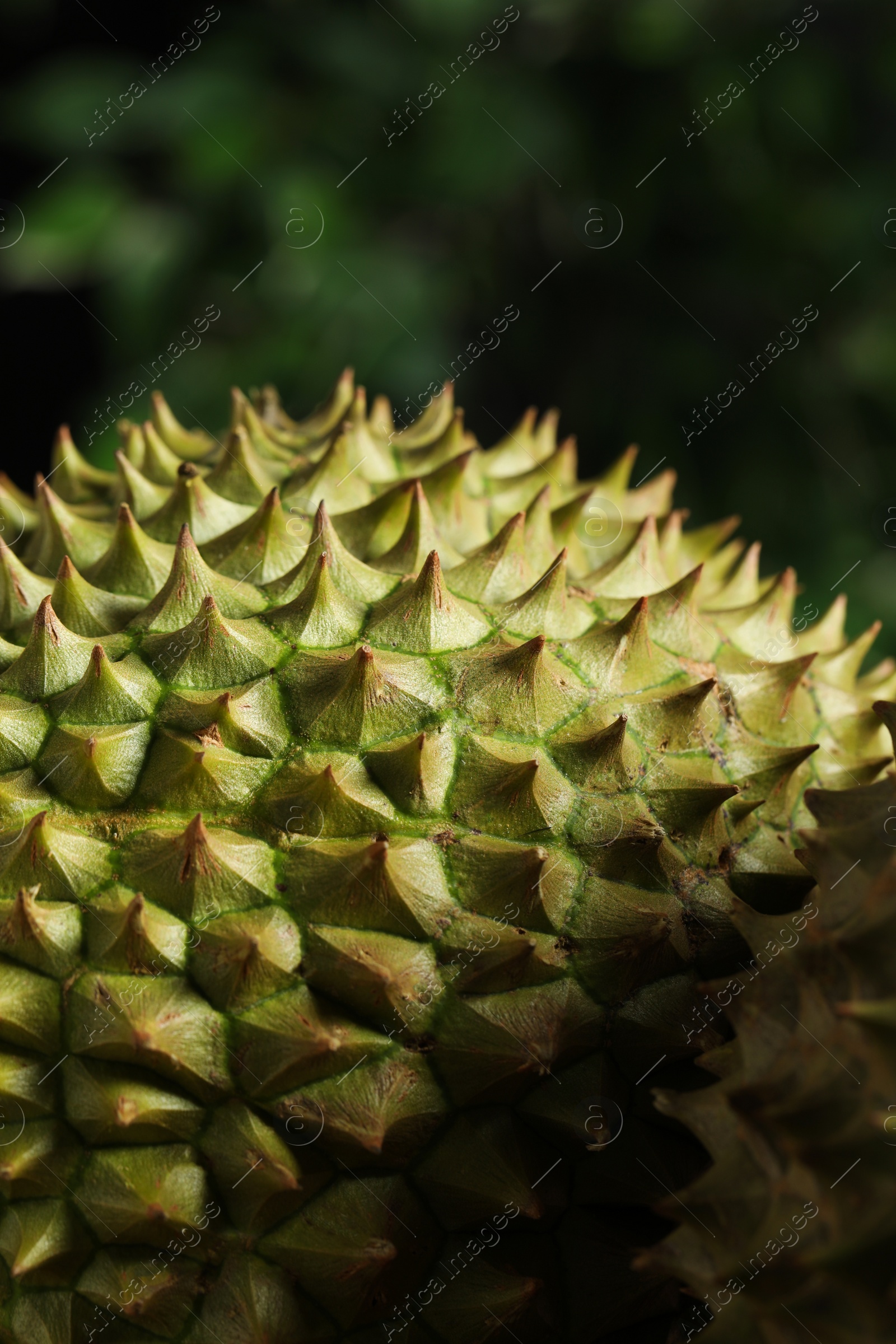 Photo of Closeup view of ripe durian on blurred background