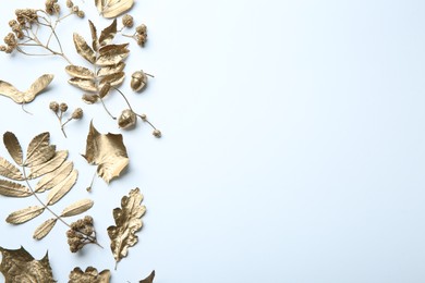 Beautiful golden leaves, berries and acorns on white background, flat lay with space for text. Autumn decor