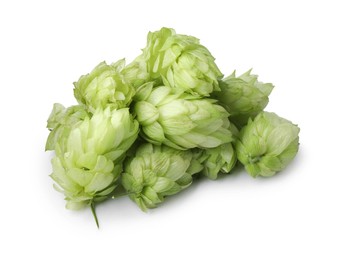 Photo of Fresh ripe green hops on white background