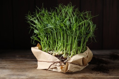 Fresh organic microgreen growing in soil on wooden table